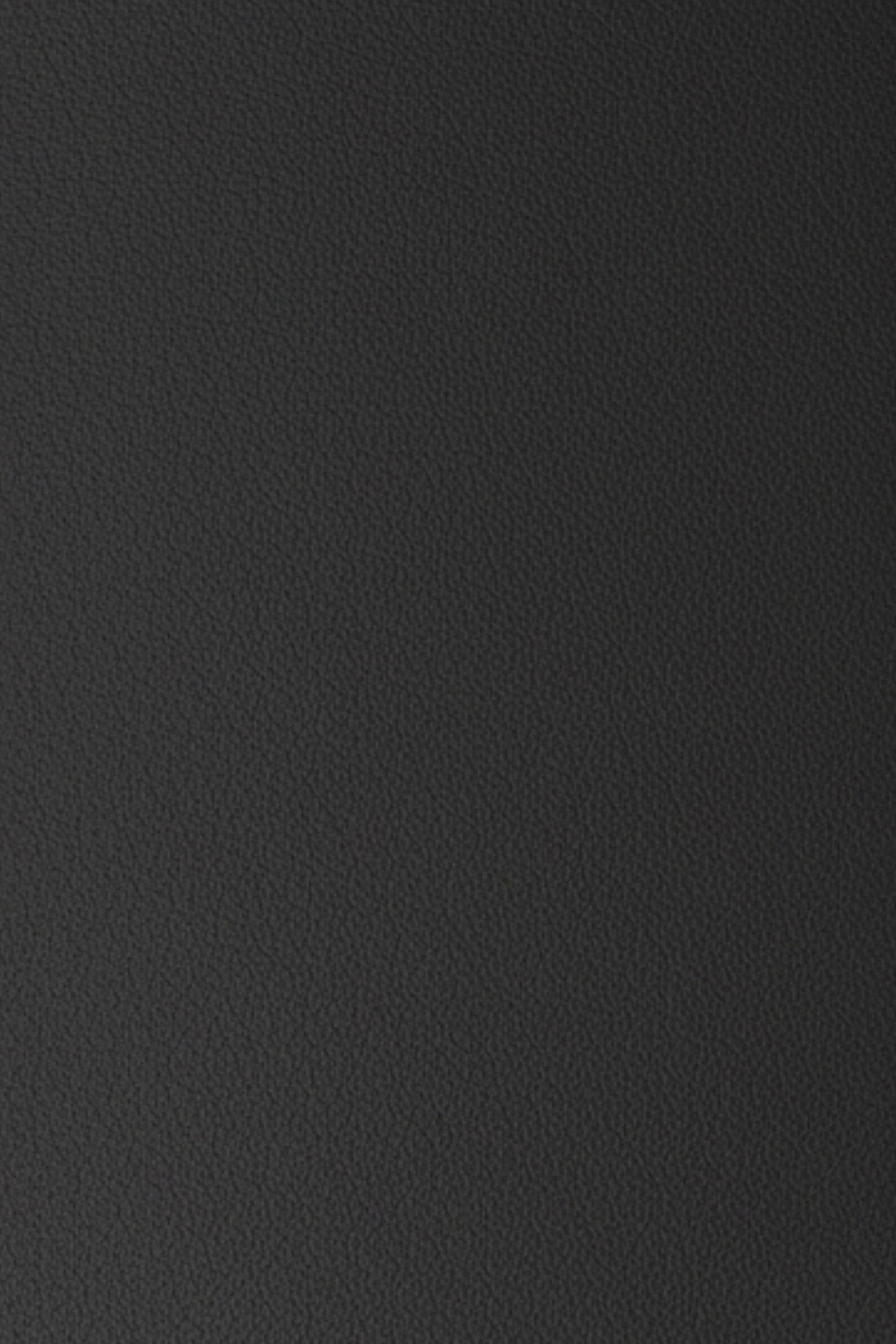 SHAO black leather material swatch