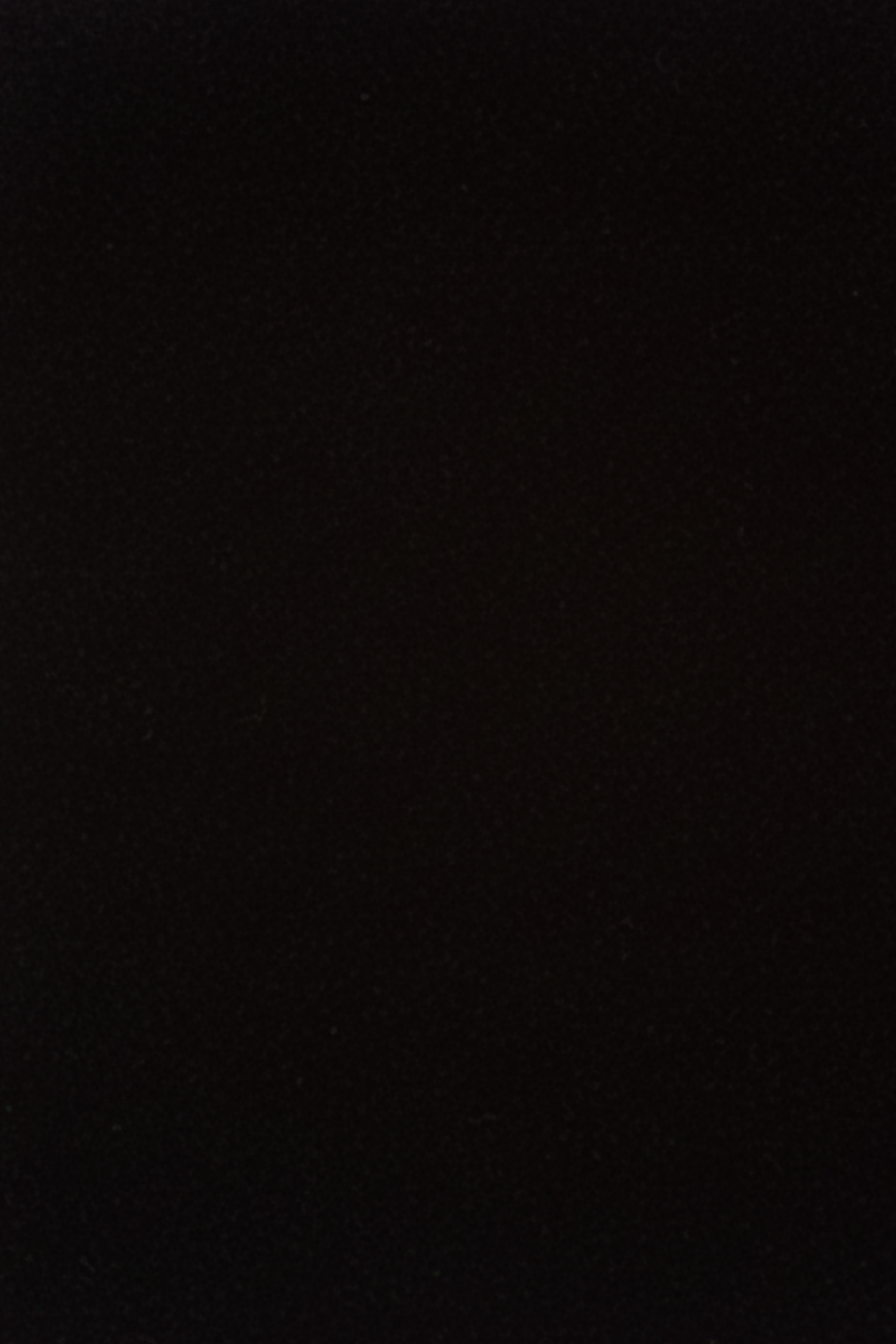 Close-up swatch of black velvet fabric used for the trouser